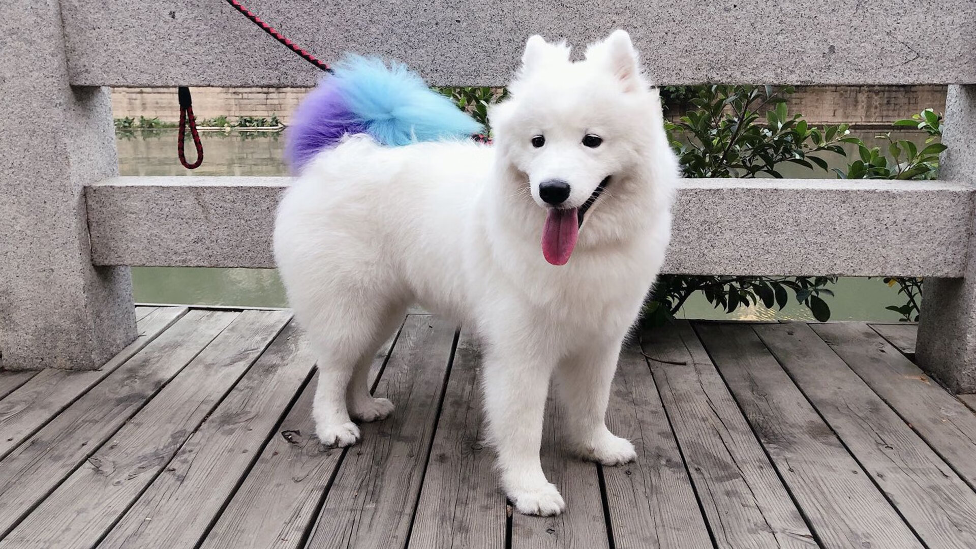 开云体育官方-博卡青年战术过度依赖身体对抗，博卡青年是什么意思