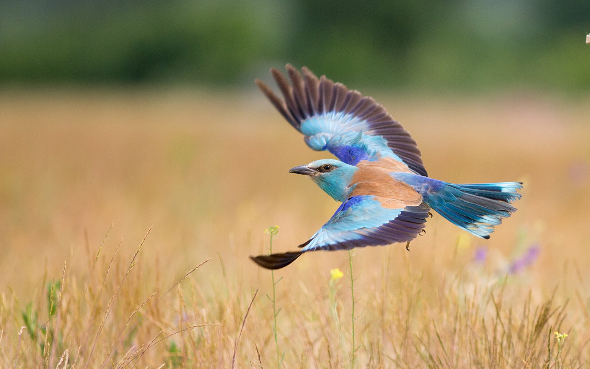 开云体育网站入口-世界杯火花四溅：战术变革中的精彩一幕，世界杯火吗