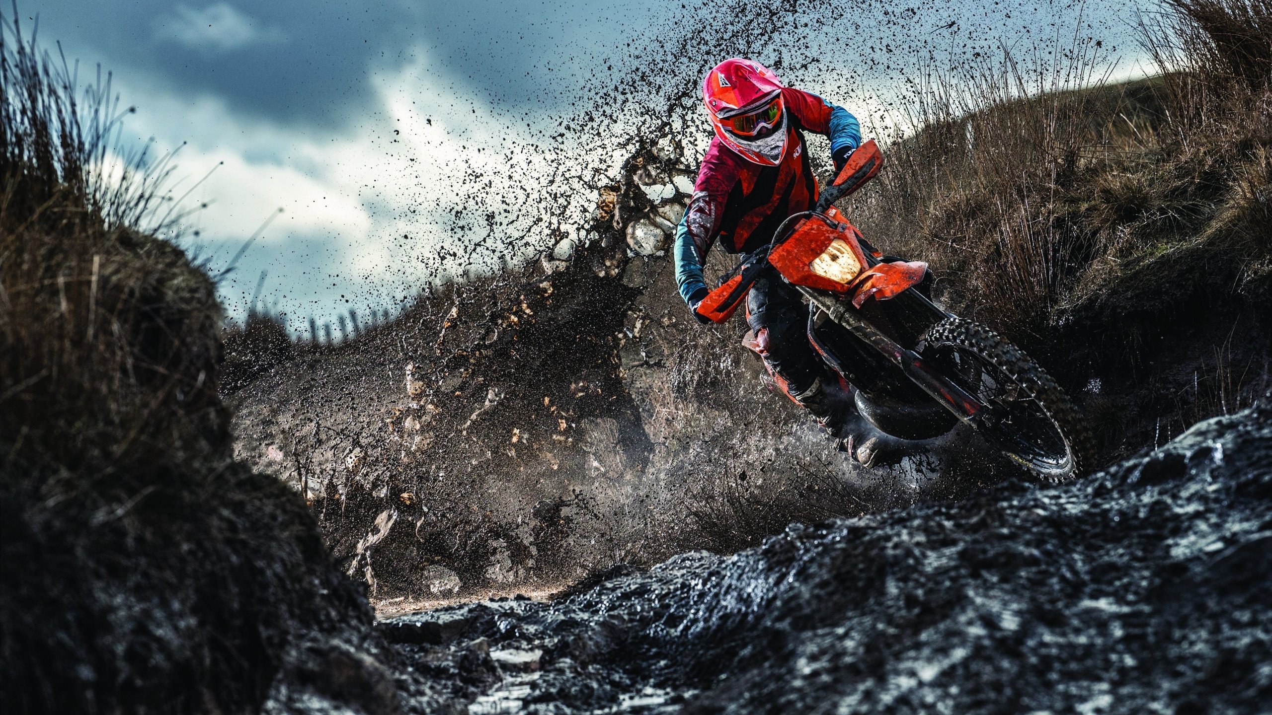 掘金主场优势显现全队化学反应良好，掘金主场是高原吗